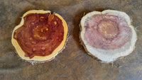 Cedar Rounds