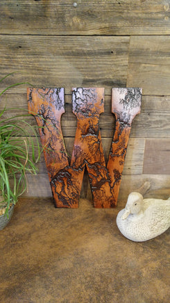 Wooden Lichtenberg Letter D