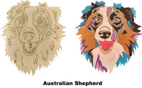 Australian Shepherd