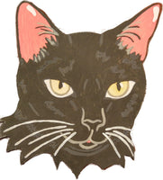Black Cat