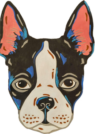 Boston Terrier