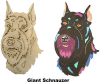 Giant Schnauzer