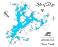 Lake of Bays, Ontario  - Laser Cut Wood Map