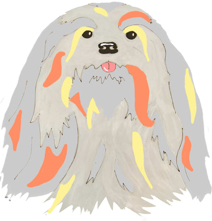 Lhasa Apso