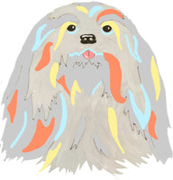 Lhasa Apso