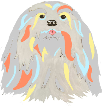 Lhasa Apso