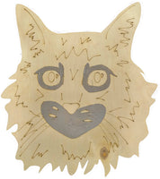 Maine Coon Cat