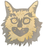 Maine Coon Cat