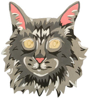 Maine Coon Cat