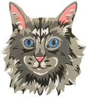 Maine Coon Cat