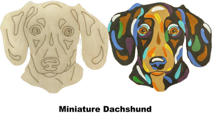 Dachshund