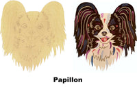 Papillon