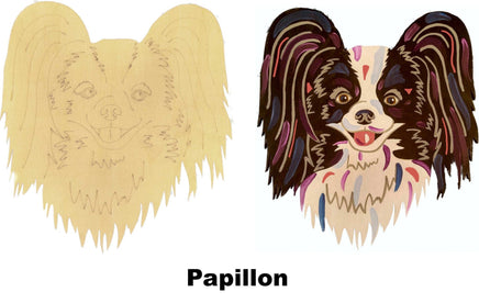 Papillon