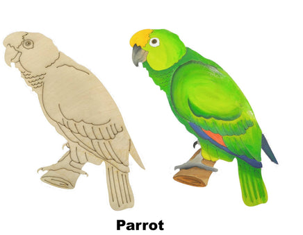 Parrot