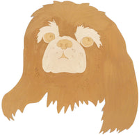 Pekingese