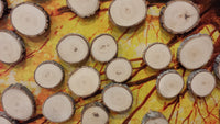Fall Wood Slice Signing Tree Guest Book