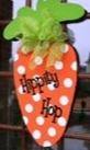 Carrot - Personal Handcrafted Displays